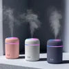 Universal Mini Stainless Steel Humidifier 300ml Spray Mist